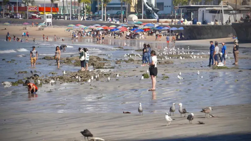 Playas de Mazatlán