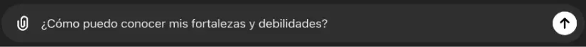 Instrucción: Ayudar a conocer fortalezas y debilidades. ChatGPT.