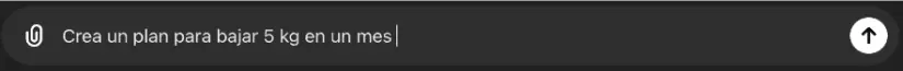 Instrucción: Crear un plan. ChatGPT.