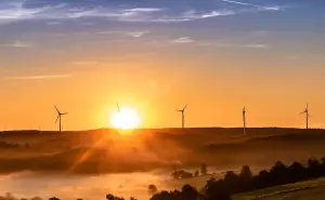 ¿Dónde podemos poner los paneles solares para que sean más útiles?