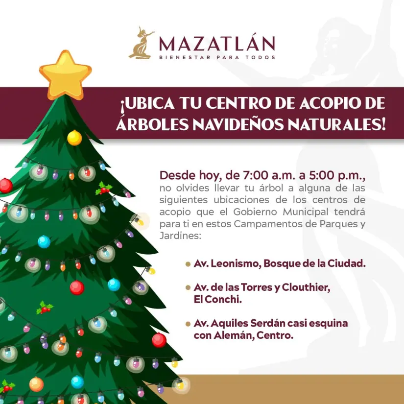 Reciclaje navideño en Mazatlán Tres puntos de acopio para tu pinito natural