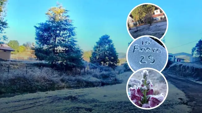Cae en Sinaloa la primera nevada del 2025.