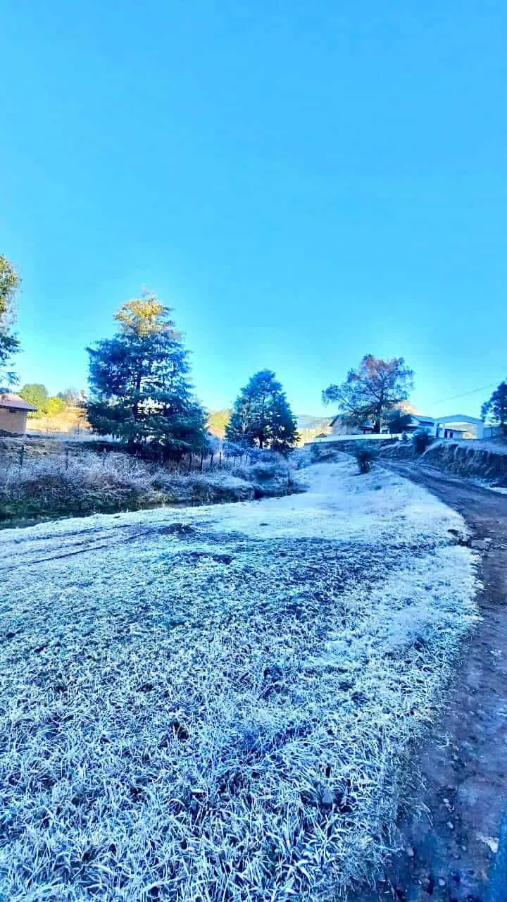 Nevada en el municipio de Badiraguato. Foto: Badiraguato te Espera.