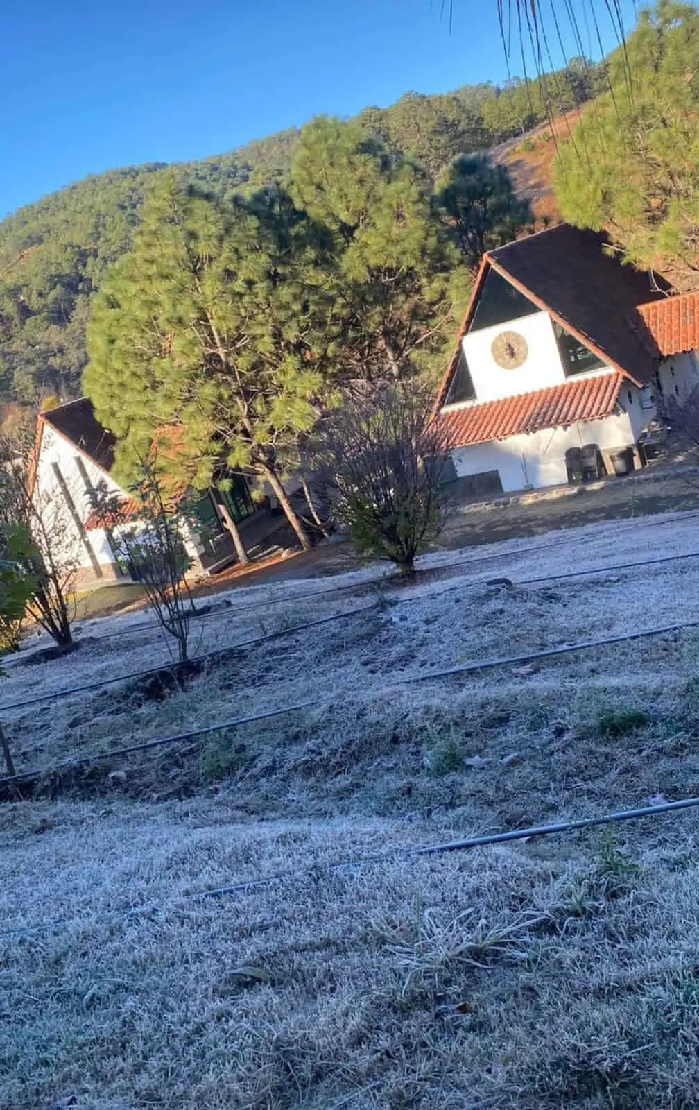 Nevada en el municipio de Badiraguato. Foto Badiraguato te Espera.