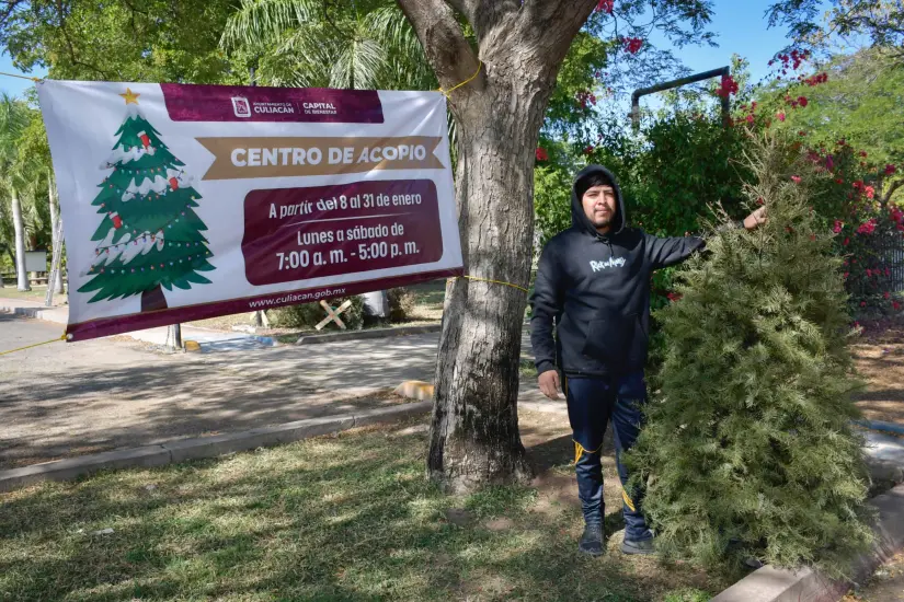 ¡Recicla tu árbol de Navidad! Ubica los centros de acopio en Culiacán 