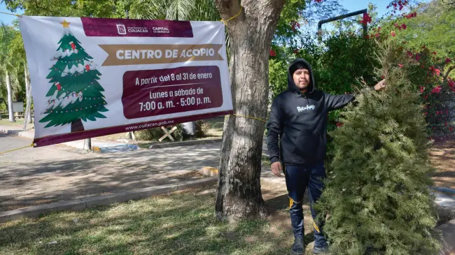 Centros de acopio para árboles de Navidad siguen abiertos en Culiacán hasta finales de enero.