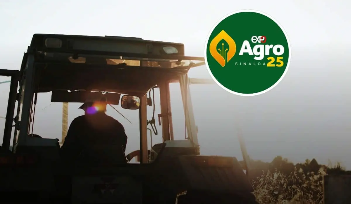 Esta es la fecha en la que se realizará la Expo Agro Sinaloa 2025. Foto: Unsplash.