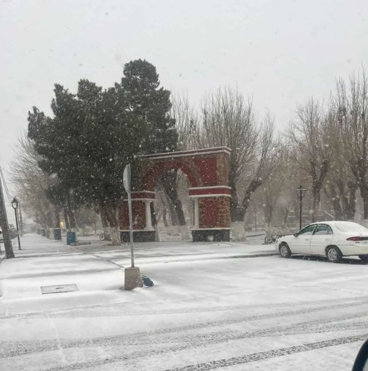 El estado de Chihuahua registró nevadas por la segunda tormenta invernal de la temporada. Foto: X