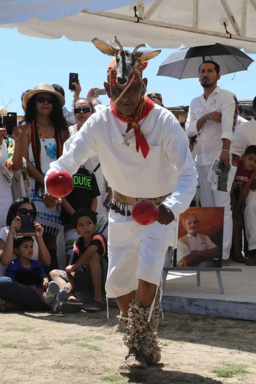 Danza del venado