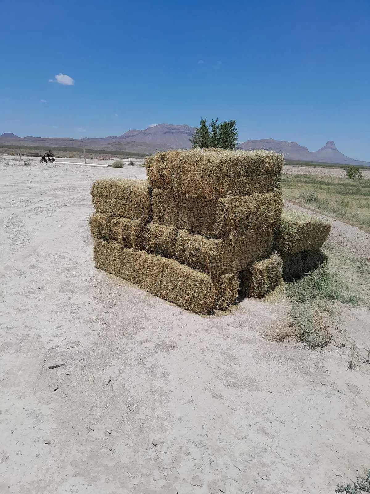 Pacas de alfalfa para venta, Villa Ahumada. Foto: Adrián Aguilera