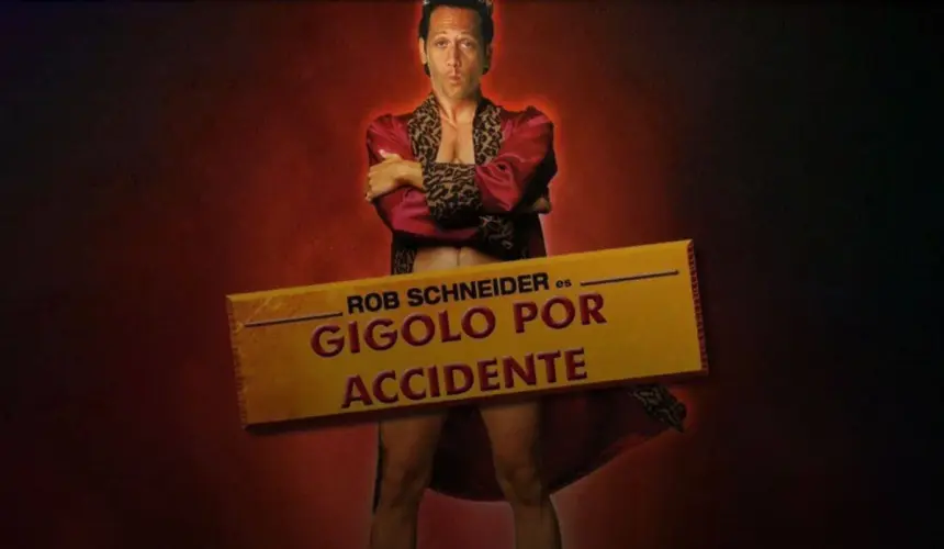 Portada de Gigolo por accidente  (1995)  protagonizado por Ron Schneider