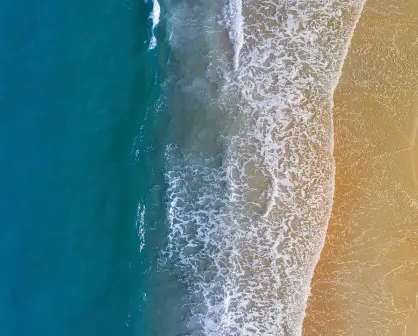 Descubre el Mar de Cortés y sus maravillas: Vuelos Internos