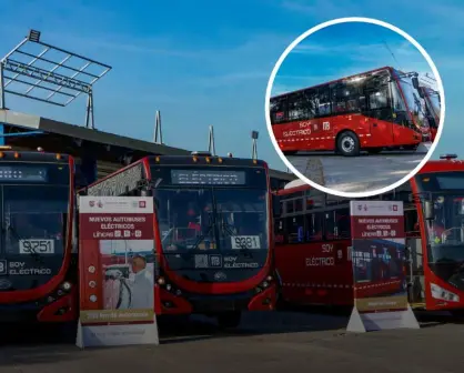 CDMX. Así son los nuevos autobuses eléctricos del Metrobús; anuncia nuevas líneas para 2025