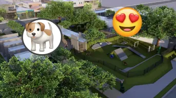 El parque más grande para mascotas de Sinaloa, estará en Ahome; Qué habrá