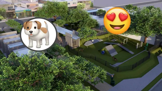 Buscan crear en el municipio de Ahome, un espacio digno para las mascotas. Foto: Cortesía