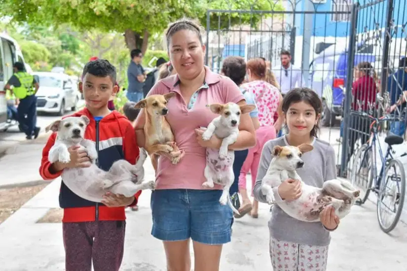 Autoridades siguen en busca de lugar para concreta el proyecto del “Parque Perrón” en Ahome. Foto: Cortesía