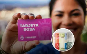 Tarjeta Rosa en Guanajuato: estos son los requisitos para obtenerla