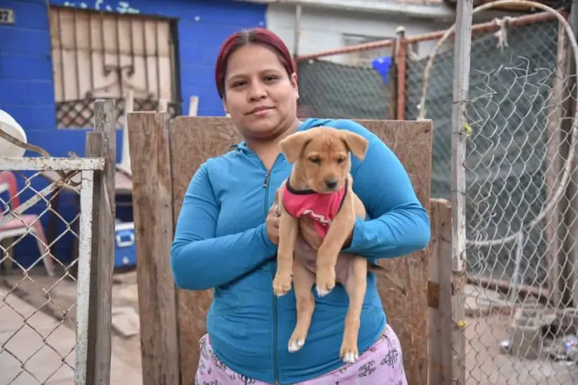 El proyecto del “Parque Perrón” busca ofrecer un lugar especializado para las mascotas. Foto: Cortesía