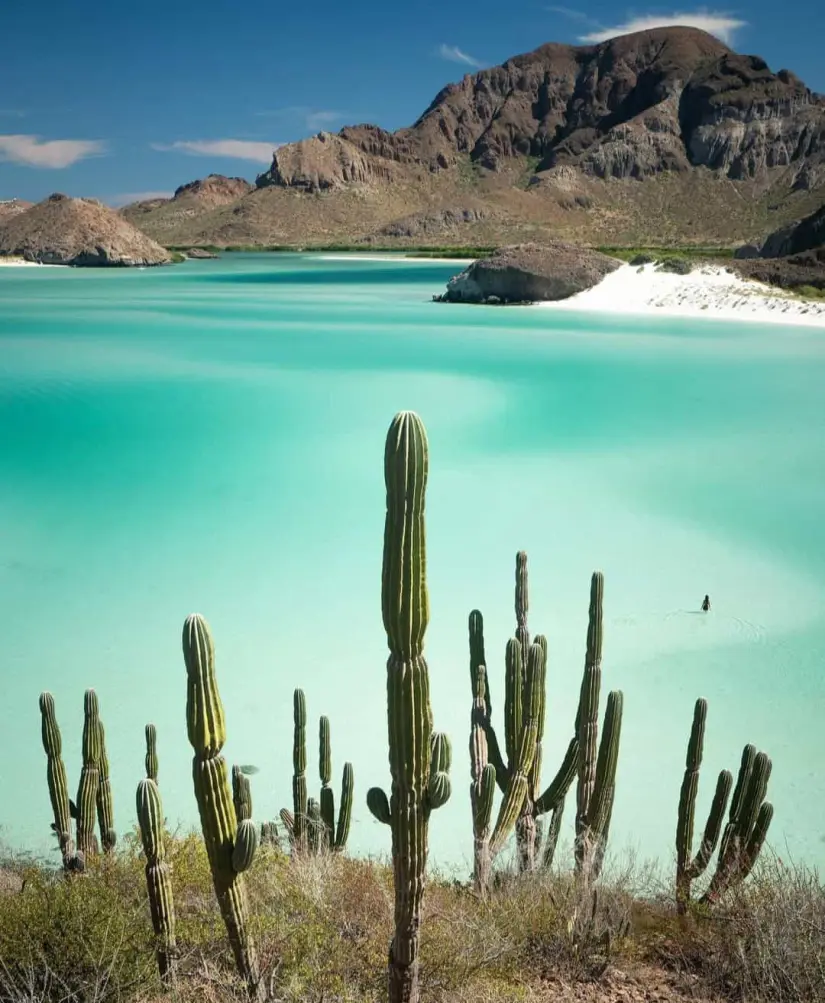 Vistas hermosas de las playas de Baja California. Foto: Instagram