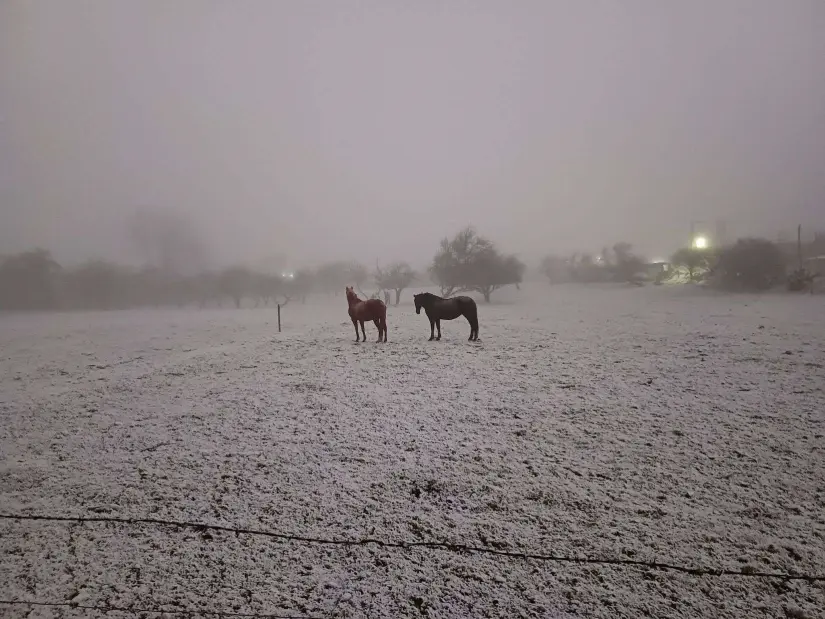 Se registró caída de agua nieve. Foto: Zoila Mota 