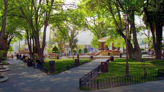 Lugares turísticos de Baja California para viajar este 2025