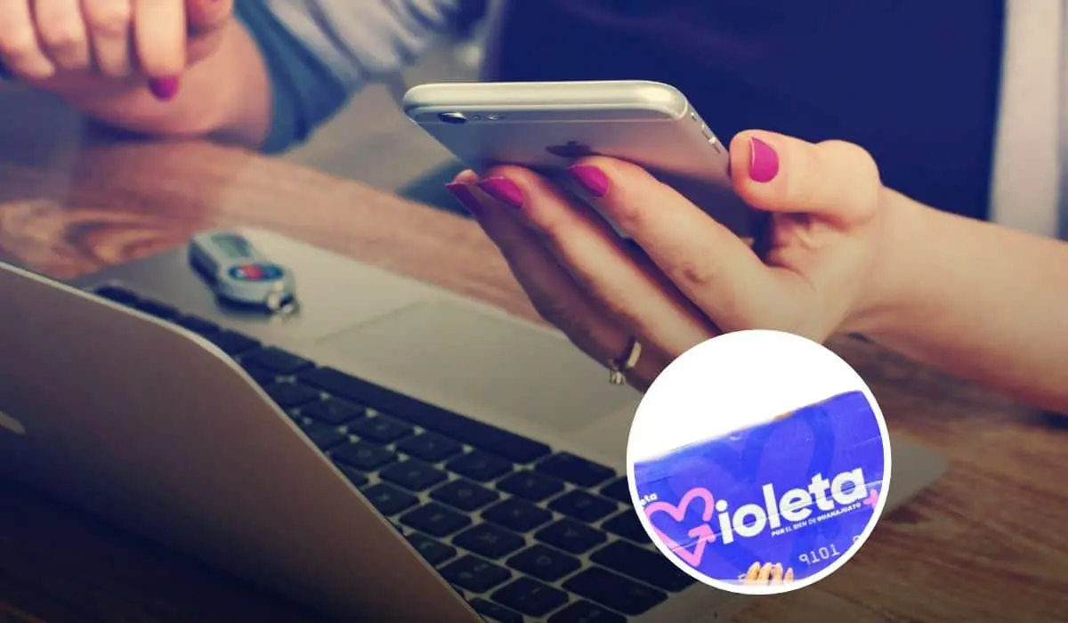 Conoce como solicitar tu Tarjeta Violeta en Guanajuato