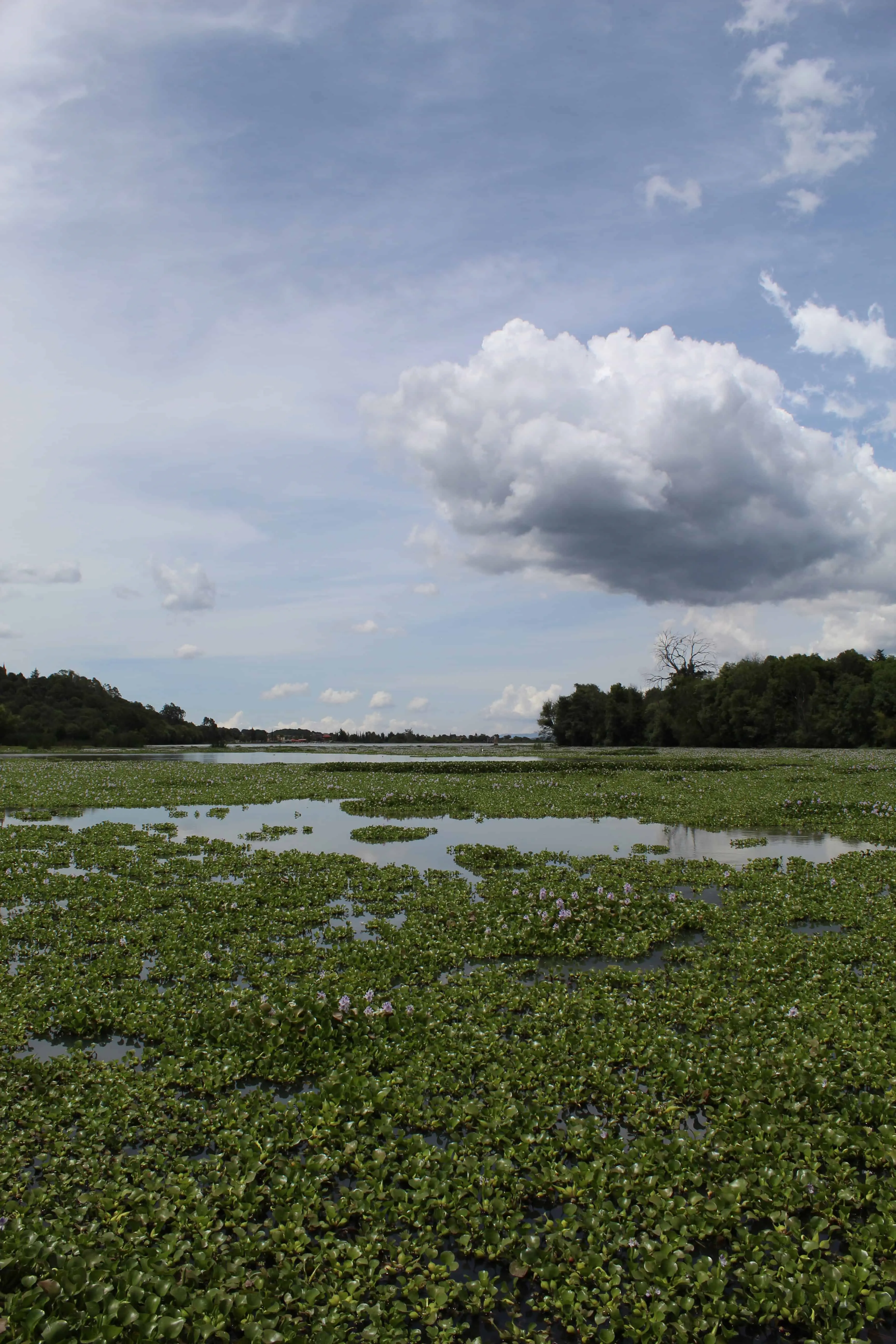 Los paisajes naturales son una belleza en la Huasca de Ocampo. Foto: Fernanda Tellería de la Cajiga