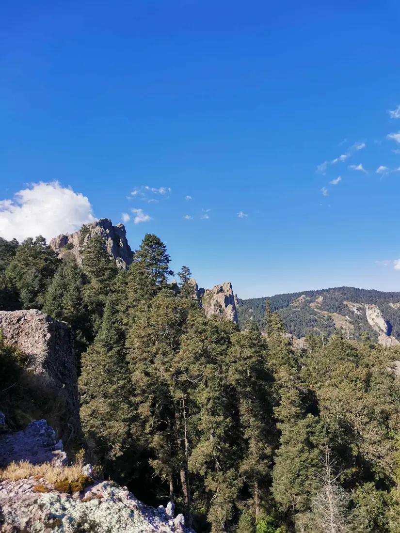 Entre montañas cubiertas de densos pinos y encinos se encuentra Mineral del Chico Foto: Esteban López Turquie