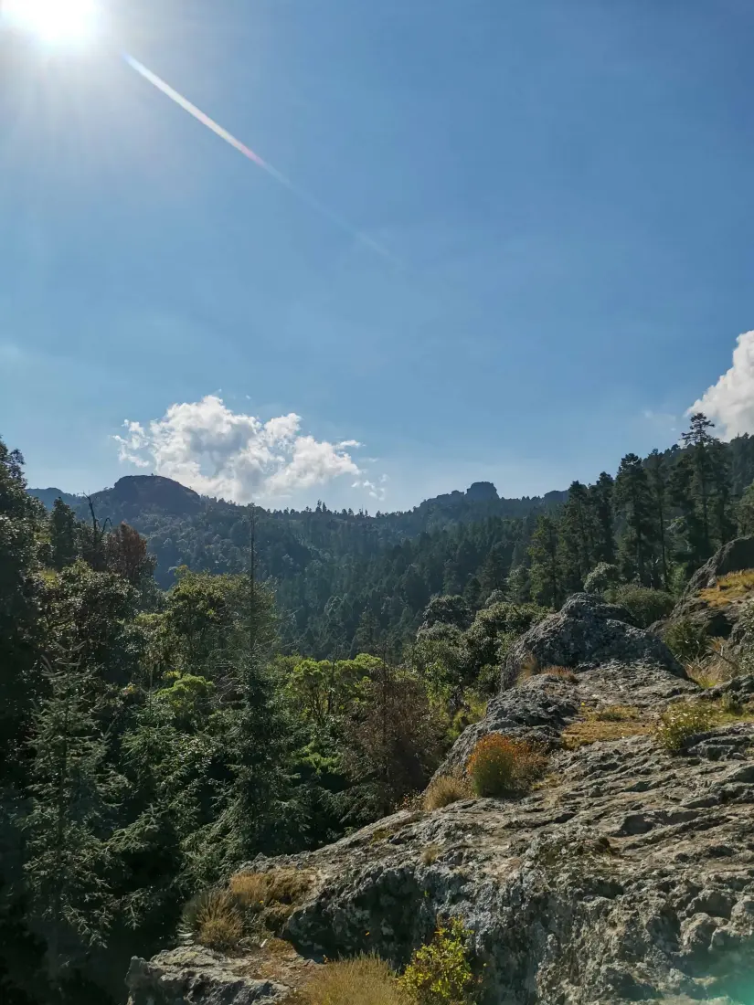 Mineral del Chico es un santuario natural donde la biodiversidad y la serenidad se entrelazan.