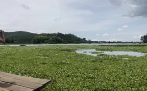 Descubre la Belleza de Huasca de Ocampo en Hidalgo