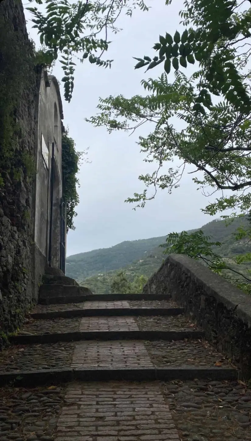 Hermosos caminos están listos para recibirte.