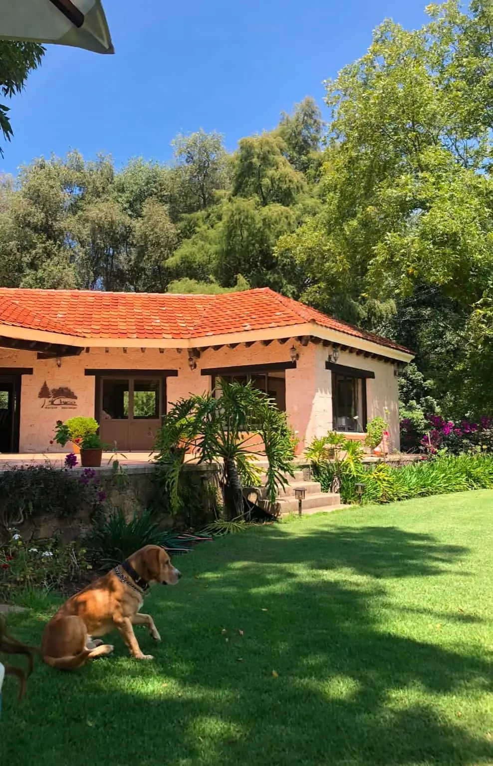 Hermosas haciendas hacen que sea una experiencia inigualable. Foto: Fernanda Tellería de la Cajiga