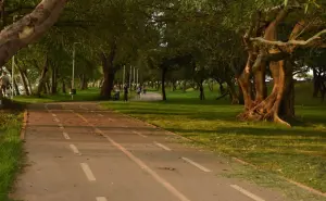 Servicios ambientales de los parques