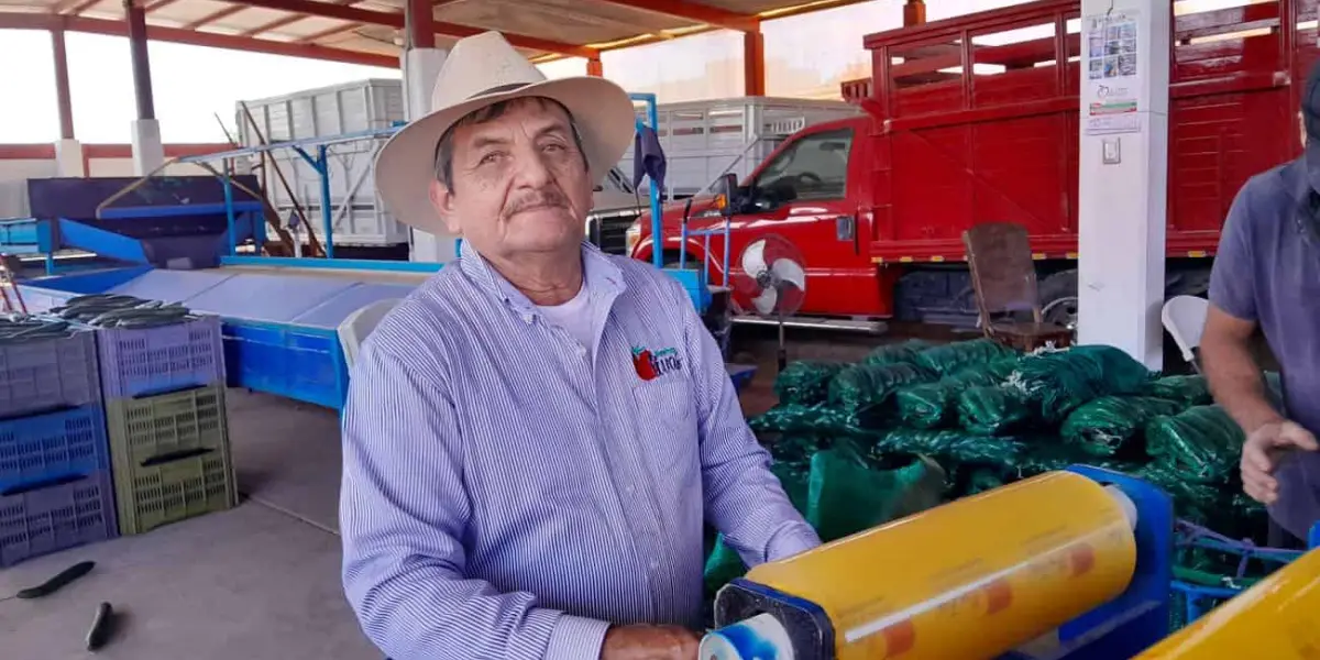 Chavelo Olivas, sólo terminó la primaria pero creó una empresa comercializadora de pepinos