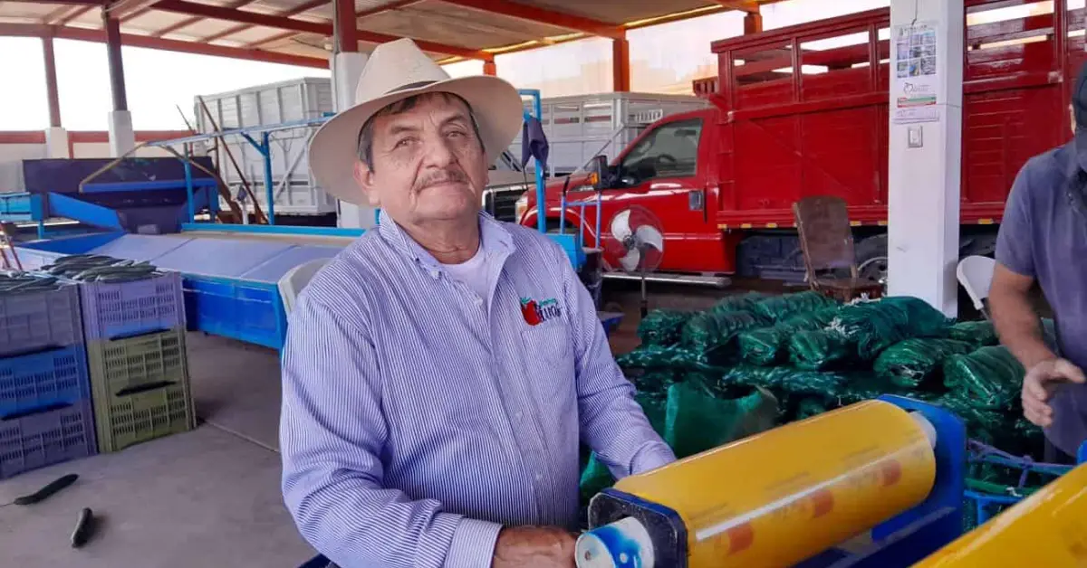 De jornalero a empresario: la historia de Chavelo Olivas, el rey del pepino en Villa Juárez