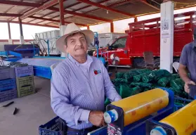 De jornalero a empresario: la historia de Chavelo Olivas, el rey del pepino en Villa Juárez