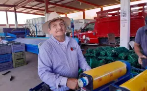 De jornalero a empresario: la historia de Chavelo Olivas, el rey del pepino en Villa Juárez