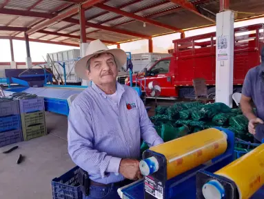 De jornalero a empresario: la historia de Chavelo Olivas, el rey del pepino en Villa Juárez