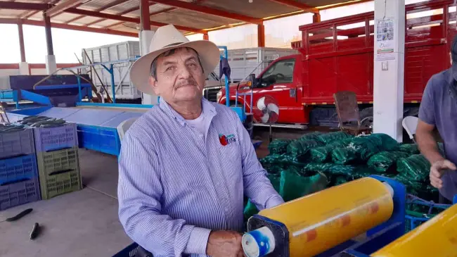 Chavelo Olivas, sólo terminó la primaria pero creó una empresa comercializadora de pepinos