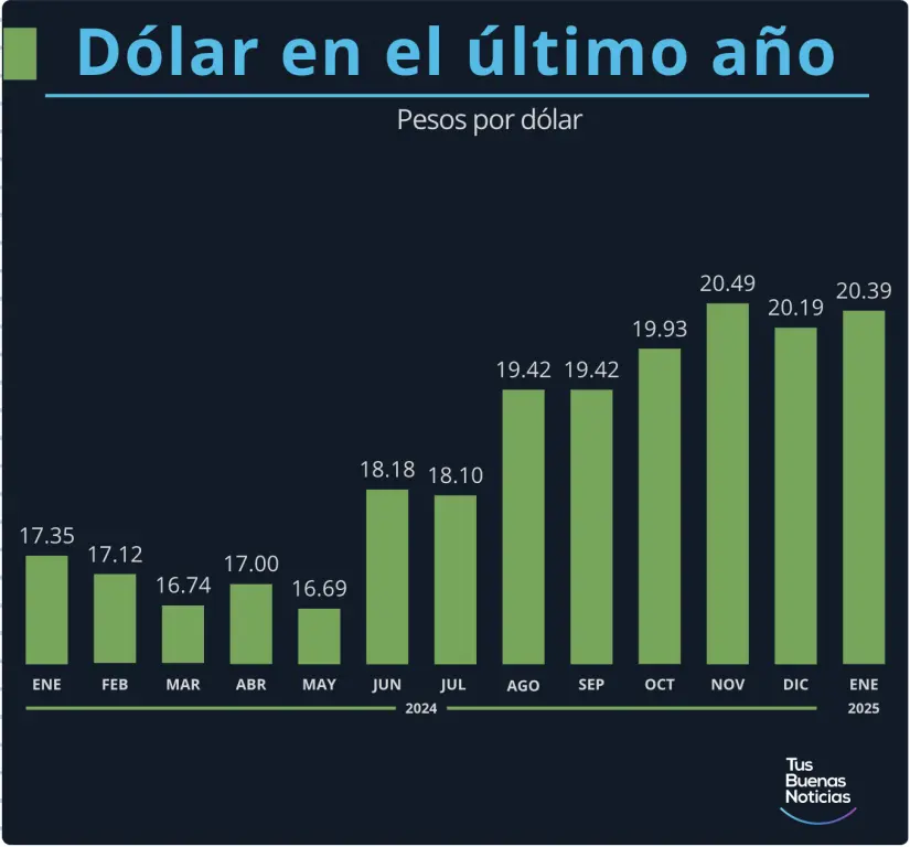 Dólar en el último año. Gráfico. TBN.