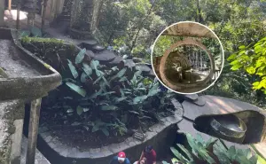 Descubre Xilitla: Un tesoro cultural y turístico de los Pueblos Mágicos