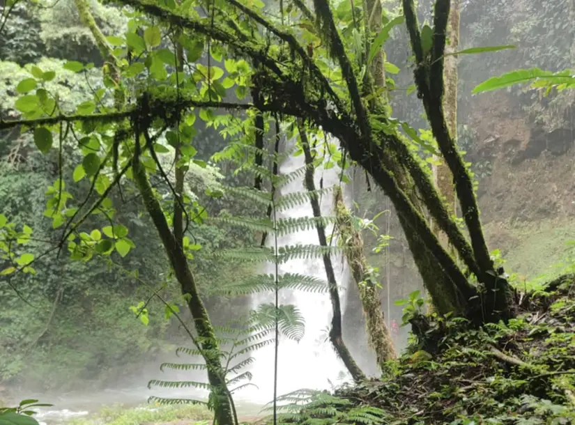 Las cascadas de Teziutlán son uno de sus principales atractivos. Foto: Emilio Carrera