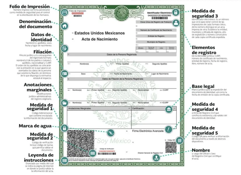 Partes del Acta de Nacimiento. Foto: Cortesía