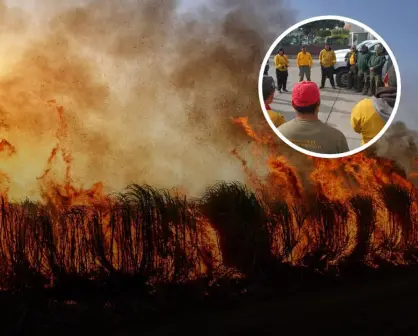 Tanama, Héroes de Independencia y San Jacinto: así se combatieron los incendios en Baja California