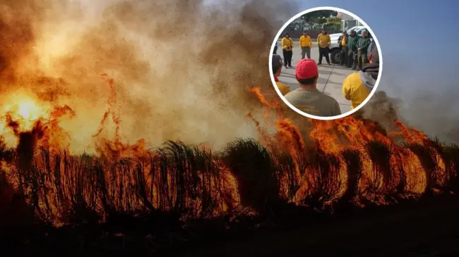 Incendios en Baja California ya están sofocados.