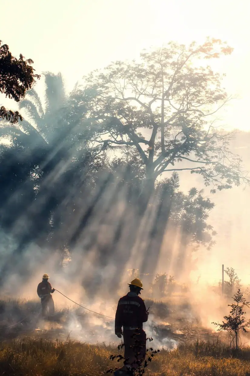 Un bombero trabaja en la sofocación de un incendio forestal