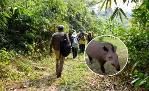 Descubre el encanto del Parque Nacional del Manu: biodiversidad, cultura y secretos de la selva en Perú