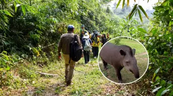 Descubre el encanto del Parque Nacional del Manu: biodiversidad, cultura y secretos de la selva en Perú