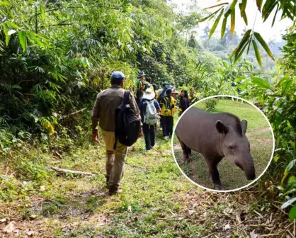 Descubre el encanto del Parque Nacional del Manu: biodiversidad, cultura y secretos de la selva en Perú