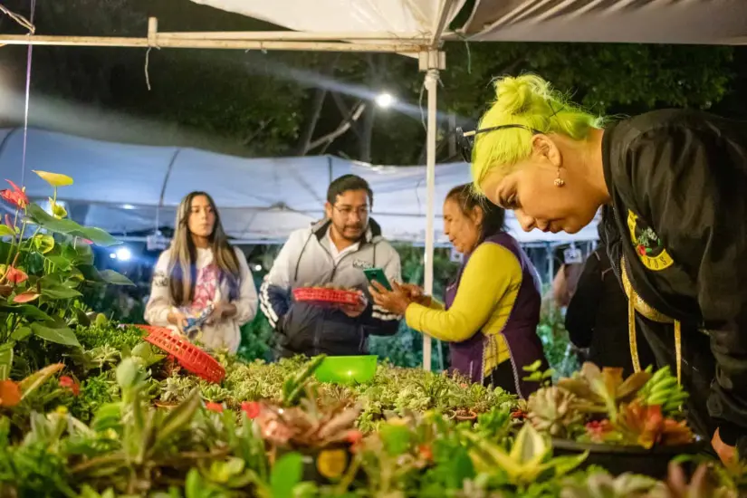 Feria de la Candelaria 2025 de San Miguel de Allende, de 9 de la mañana a 9 de la noche. Foto: Cortesía